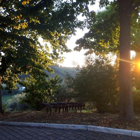 Il Mandorlo B&B Civitanova Alta Eksteriør bilde